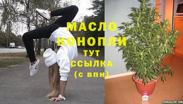 дмт Богданович