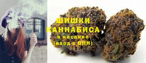 дмт Богданович